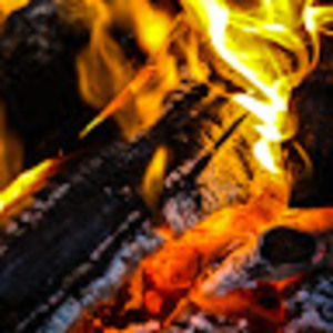 Meet your Posher, Wildfire